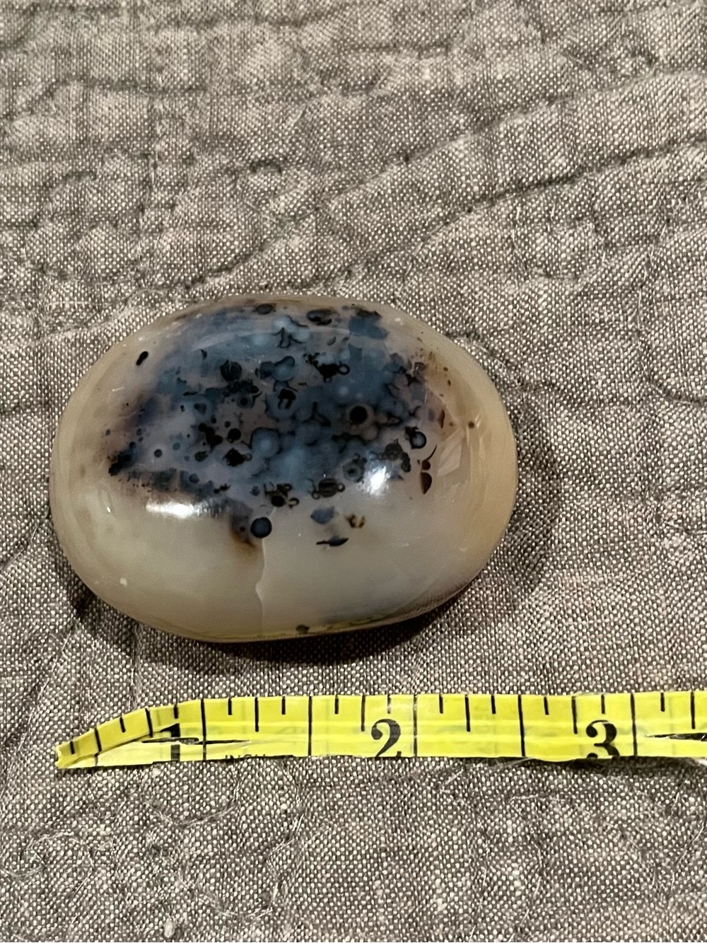 Polished Dendritic Agate Palm Stone - Blue-Gray